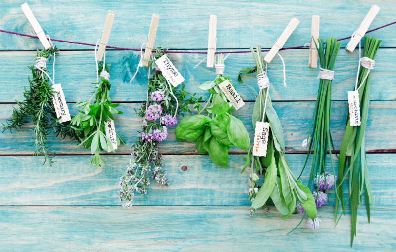 aromatic-herbs