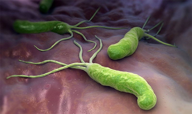 Helicobacter pylori: симптомы, передача, тестирование и лечение